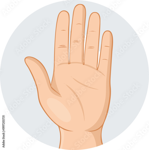 illustration of a hand with fingers slightly spread