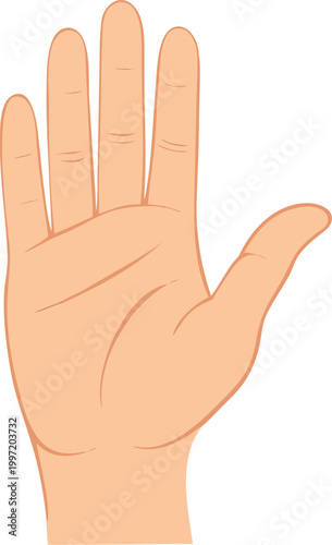 human hand illustration with palm facing forward