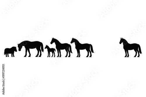Set of black horse silhouettes standing in a row featuring various breeds including a mare with foal, pony, stallion, and heavy draft horse, isolated on white background vector illustration.