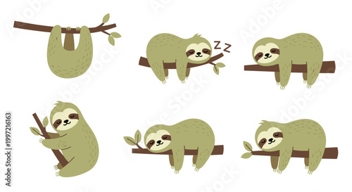 Cute Sloth Hanging Upside Down.