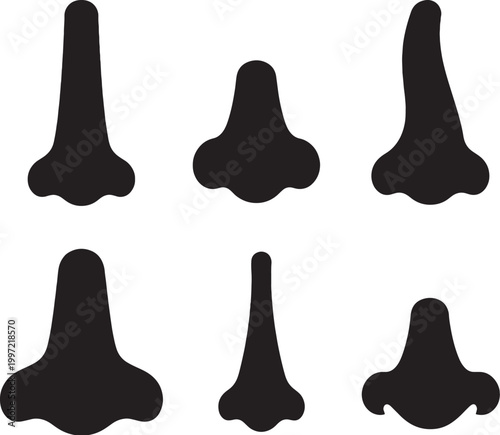 Nose Shapes Silhouettes Set Straight Button Roman Wide Narrow Upturned Nose Vector