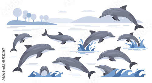 Dolphins jumping out of water.