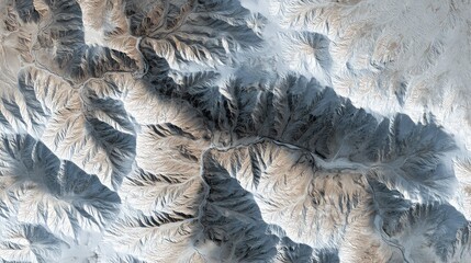 Arid mountain ranges create intricate, tree like patterns across the sprawling terrestrial landscape, exhibiting geological complexity and environmental impact from snow and erosion
