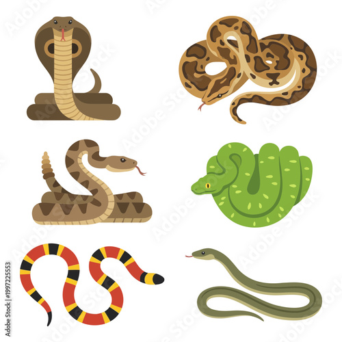 Collection featuring a diverse range of snake species, showcasing their unique patterns, vibrant colors, and distinctive forms in an educational and engaging illustration style on a plain background