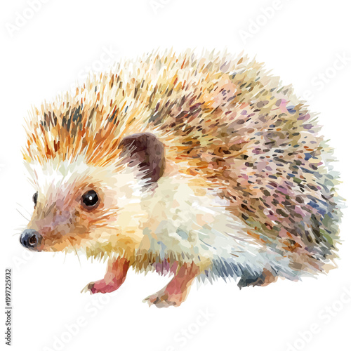 Hedgehog watercolor vector illustration, high-quality artwork isolated on a pure white background.
