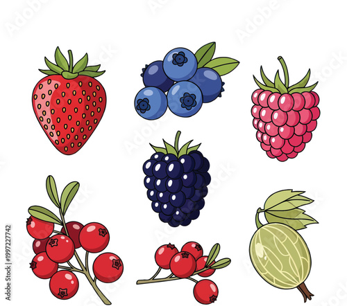 Fresh forest berries collection with juicy red strawberries blueberries raspberries blackberries tart cranberries and green gooseberry on white background