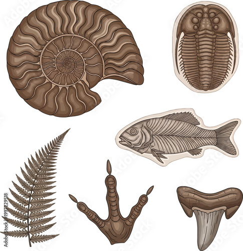 Vintage Style Collection of Ancient Fossils and Prehistoric Relics Including Ammonite Trilobite Fish Skeleton Dinosaur Footprint and Shark Tooth Vector
