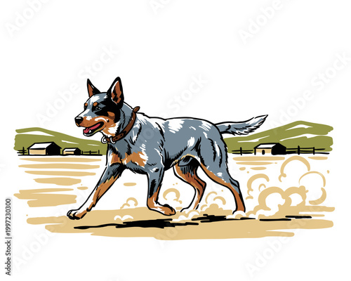 Australian Cattle Dog artwork.. Farm ranch vintage apparel.. Country lifestyle design.. Blue Heeler graphic.. Western outdoor adventure.