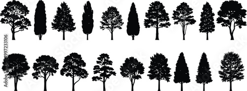 Collection of diverse tree silhouette icons showing various shapes, botanical outlines, forest canopy styles, natural landscape elements for design and illustration