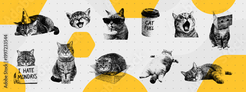 Trendy collage vector with pointillism cats. Set of cute kitty stickers in stippling art style. Funny feline characters, playful pet, graphic design element for web and social media.