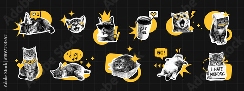 Trendy vector sticker set with funny cats. Collage of cute animal illustrations for retro internet culture and digital design. Creative graphic icons for social media and notebook.