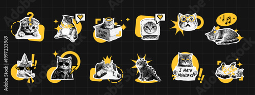 Set of cat sticker collection featuring various cute character poses and funny expressions. Trendy vector illustration with dotwork aesthetic for creative scrapbooking and digital graphic element.