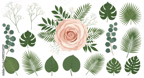Beautiful botanical set featuring a large pink rose bloom and various green tropical leaves like monstera, palm, and eucalyptus.