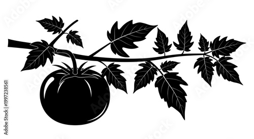 Black silhouette of a tomato plant.
