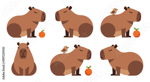 Capybara with orange fruits.
