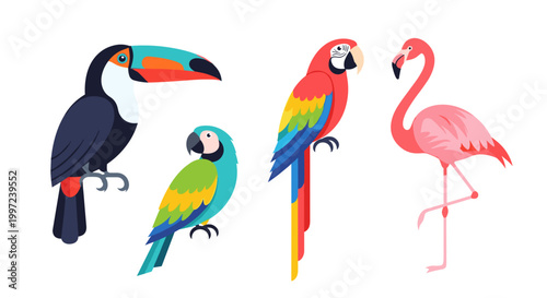 Colorful birds side by side.