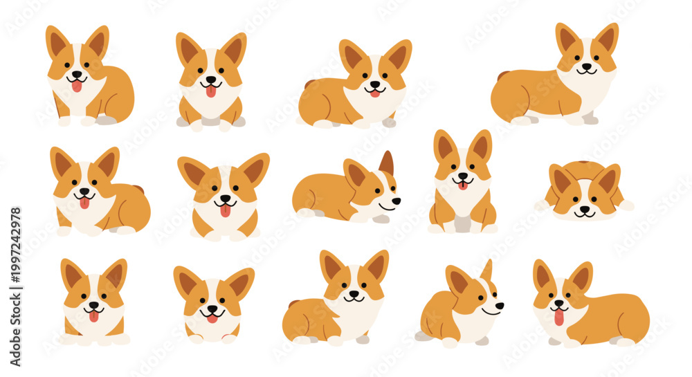 Fototapeta premium Corgi dogs in various poses 1.