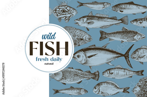 Edible fish sketched vector collection
