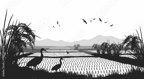 Black silhouette of ducks outdoors.