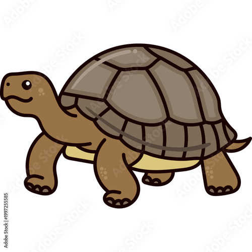 Cute Cartoon Tortoise Illustration