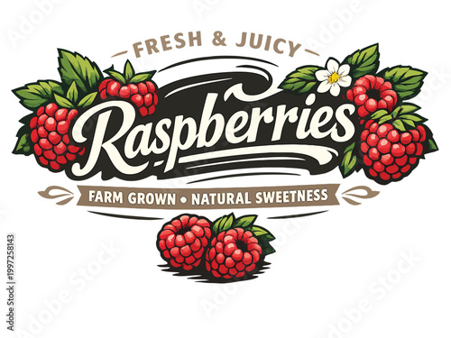 Print  Fresh Raspberries Vector Illustration with Rustic Farmers Market Typography, Vintage Fashion Apparel Design