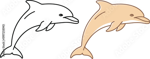 Dolphin Illustration Set in Outline and Colored Style for Marine Life, Ocean Animals, Wildlife Design, and Aquatic Vector Graphics