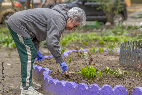 Konstfotografi Active senior woman gardening in the backyard