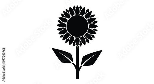 A striking black sunflower illustration with detailed petals and a bold silhouette