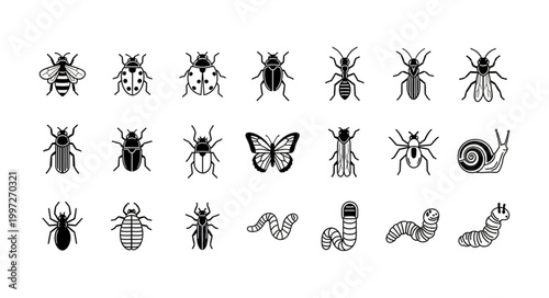 Collection of Insect Icons and Illustrations.