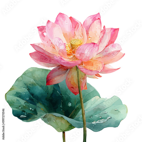 Stylized watercolor Lotus vector, modern artistic illustration with high-quality details on a pure white background.