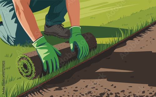 Man laying rolled green grass lawn in garden outdoor yard