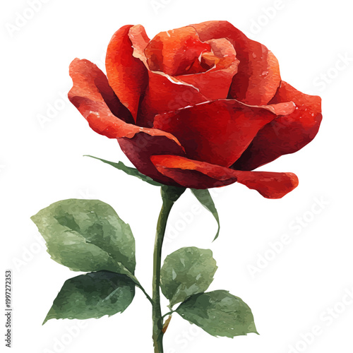 Watercolor Red Rose vector, artistic painting style, high-resolution illustration on a pure white background.