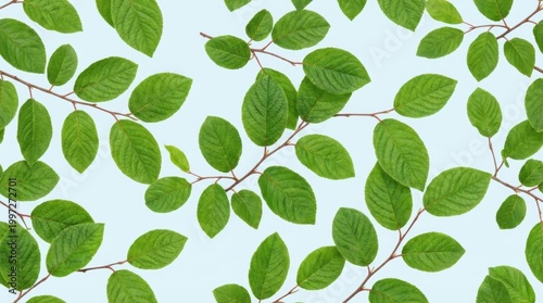 Vibrant Green Leaves on Branches Against a Light Blue Background, Natures Beauty.