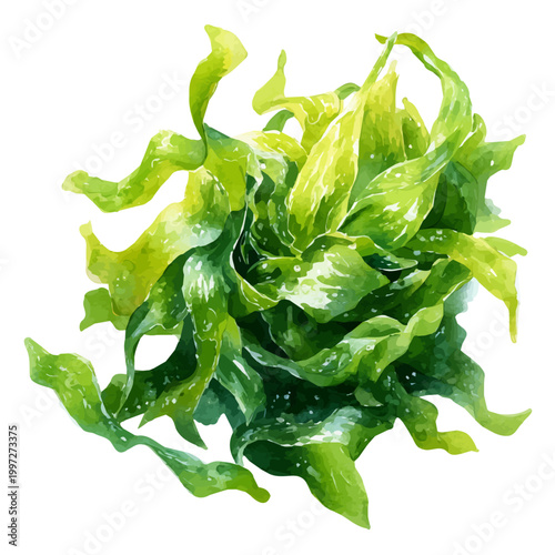 Stylized watercolor Seaweed Salad vector, modern artistic illustration with high-quality details on a pure white background.