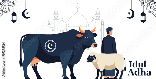 Eid Al Adha Cow.