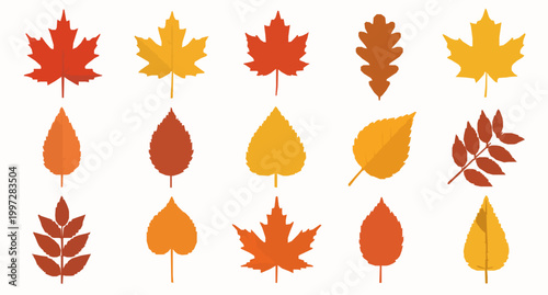 Autumn leaves vector set colorful cartoon maple oak and birch leaves isolated on white background
