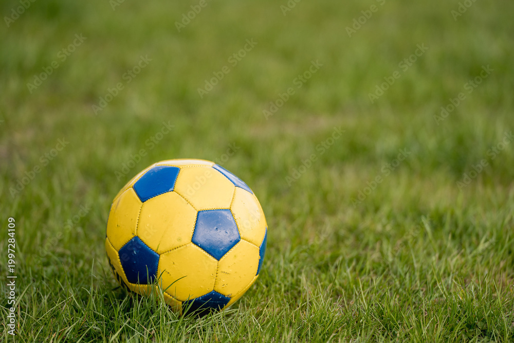 Obraz premium Blue and yellow soccer ball on grass 