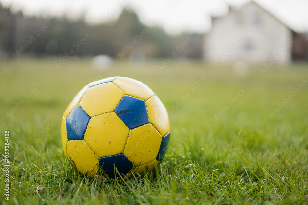 Obraz premium Blue and yellow soccer ball on grass 