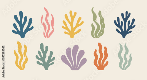 Flat Seaweed And Coral Shapes Set Minimal Marine Plants Vector Collection