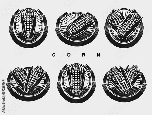 Corn label and element set. Collection icon corn. Vector