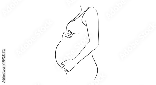 A pregnant woman's gentle embrace.