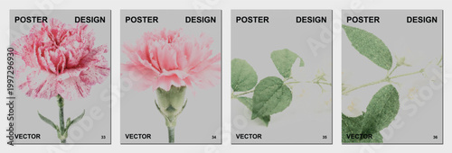 Pink carnation flower halftone dots botanical plant bloom spring nature garden soft