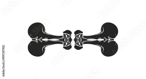 Symmetrical Black Bone Silhouette Mirror Image