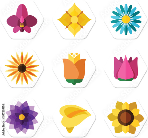 Decorative floral elements pack for wedding invitations and greeting card designs vector