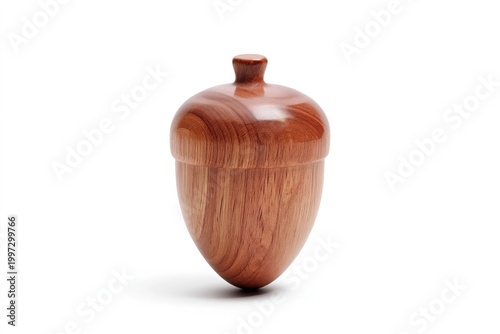 Natural Acorn on White Background in Simple Setting Close to Autumn Time