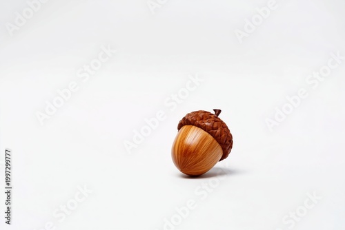 Natural Acorn on White Background in Simple Setting Close to Autumn Time