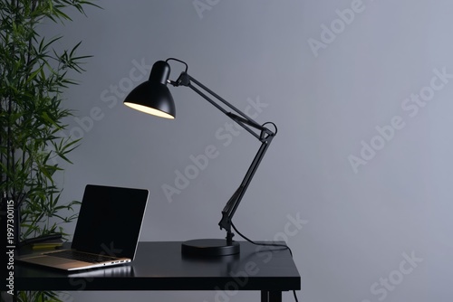 Desk Lamp and Laptop on Workspace With Plant in Corner During Evening Hours