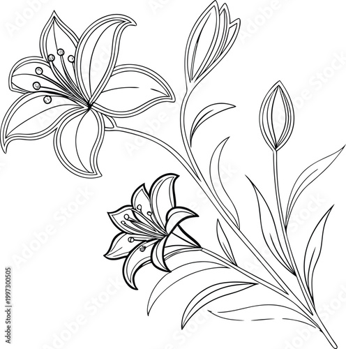 stylized lily flower plant with two blossoms curved stems and leaves in black and white line art symbolizing elegance harmony and decorative design
