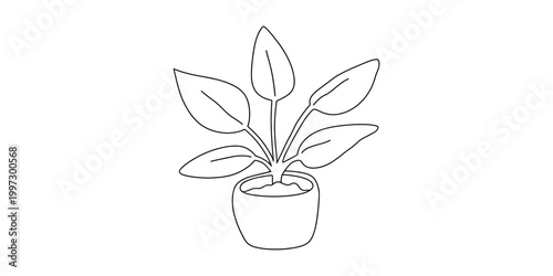 Simple line drawing of a houseplant in a pot with green leaves Vector, illustration