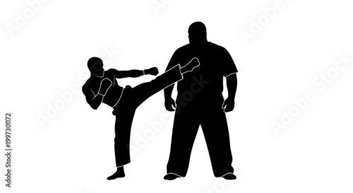 Silhouette of a martial artist kicking during training session.